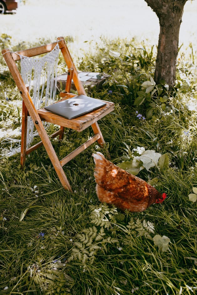 , Calligraphy, camera &#038; chickens!, The Menagerie Lifestyle Photography