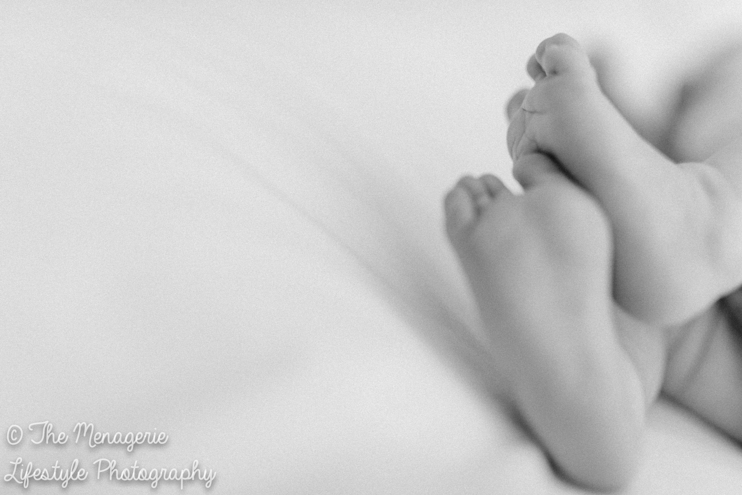 , Jude &#8211; Essex Newborn Photography, The Menagerie Lifestyle Photography
