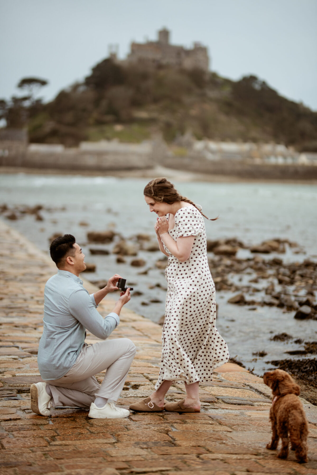 Tay proposing to Beth on the cobbled causeway at Marazion beach, Cornwall, with their golden doodle watching — surprise proposal photographer